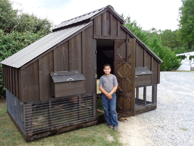 Davids Chicken Coops Chicken Pens And Runs Custom Builder 